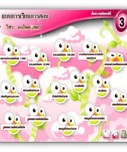 ซอฟต์แวร์สื่อการเรียนการสอน CAI คณิตศาสตร์ ป3