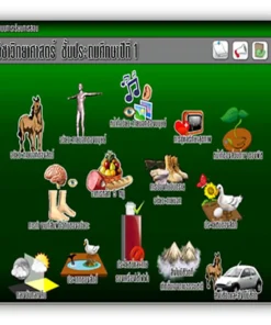 ซอฟต์แวร์สื่อการเรียนการสอน CAI วิทยาศาสตร์ ป1