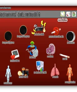 ซอฟต์แวร์สื่อการเรียนการสอน CAI วิทยาศาสตร์ ป6