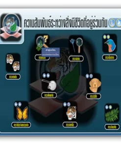 ซอฟต์แวร์สื่อการเรียนการสอน วิทยาศาสตร์ ม3 แบบ CAI